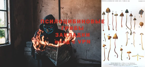 амфетамин Алексин